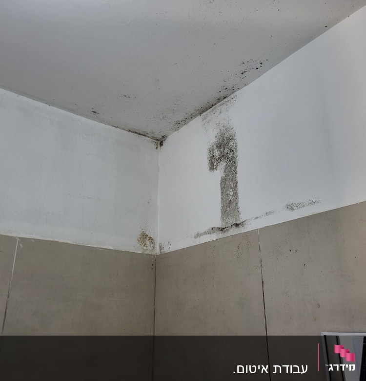 פינת קיר עם סימני רטיבות ועובש